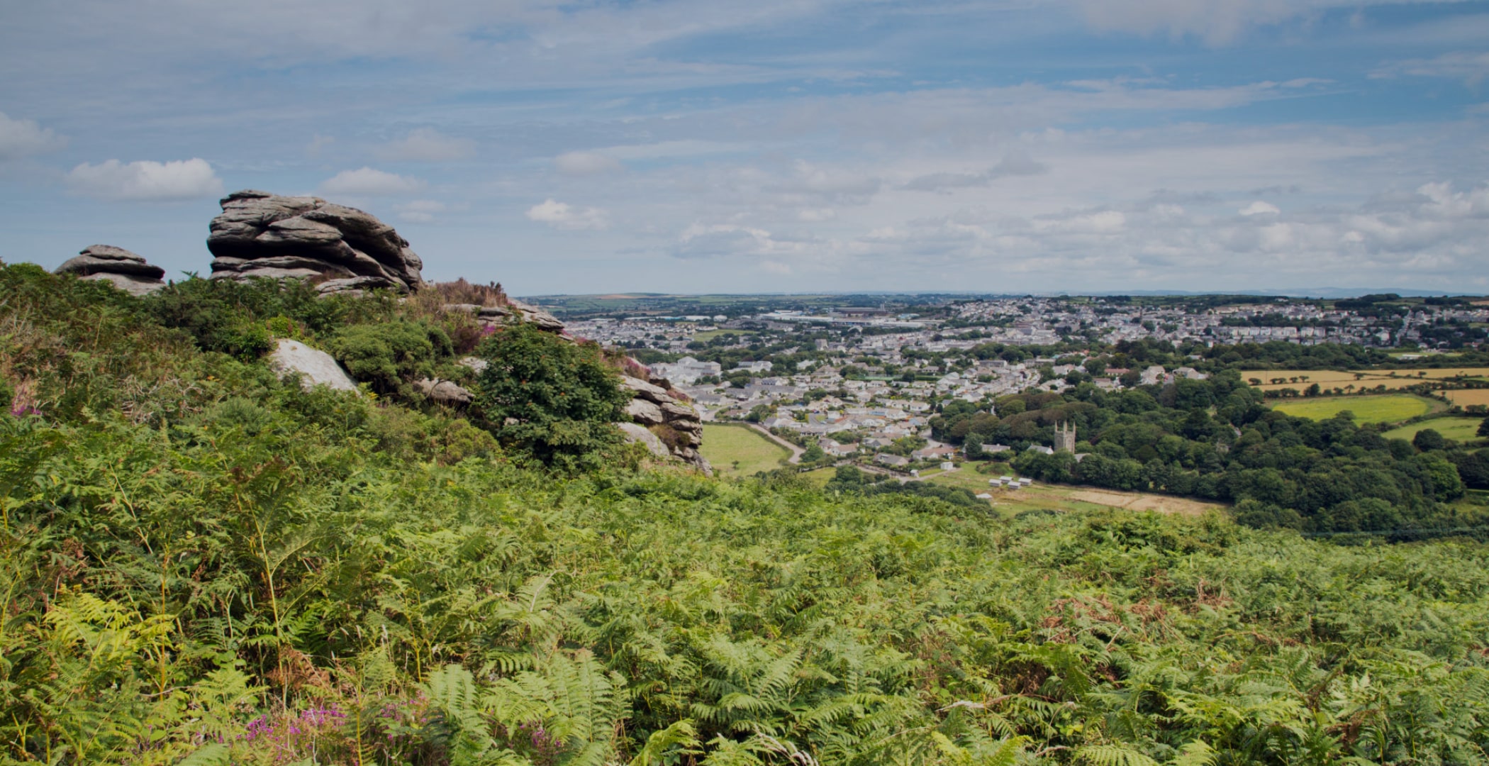 Carn-Brea-Local Area-Banner-min